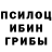 Псилоцибиновые грибы мицелий Parsa Araste