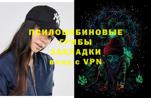 спиды Алзамай
