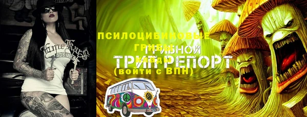 гидропоника Алексеевка