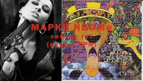 спиды Алзамай