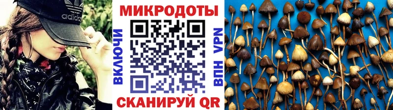 ссылка на мегу ССЫЛКА Козловка Псилоцибиновые грибы GOLDEN TEACHER